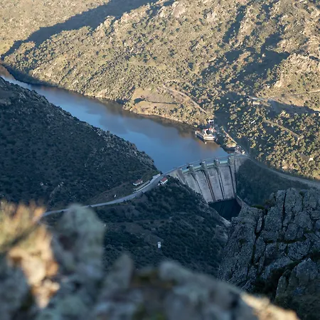 Freixo Douro Superior Freixo de Espada à Cinta