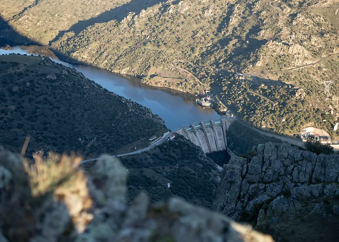 Freixo Douro Superior Freixo de Espada à Cinta